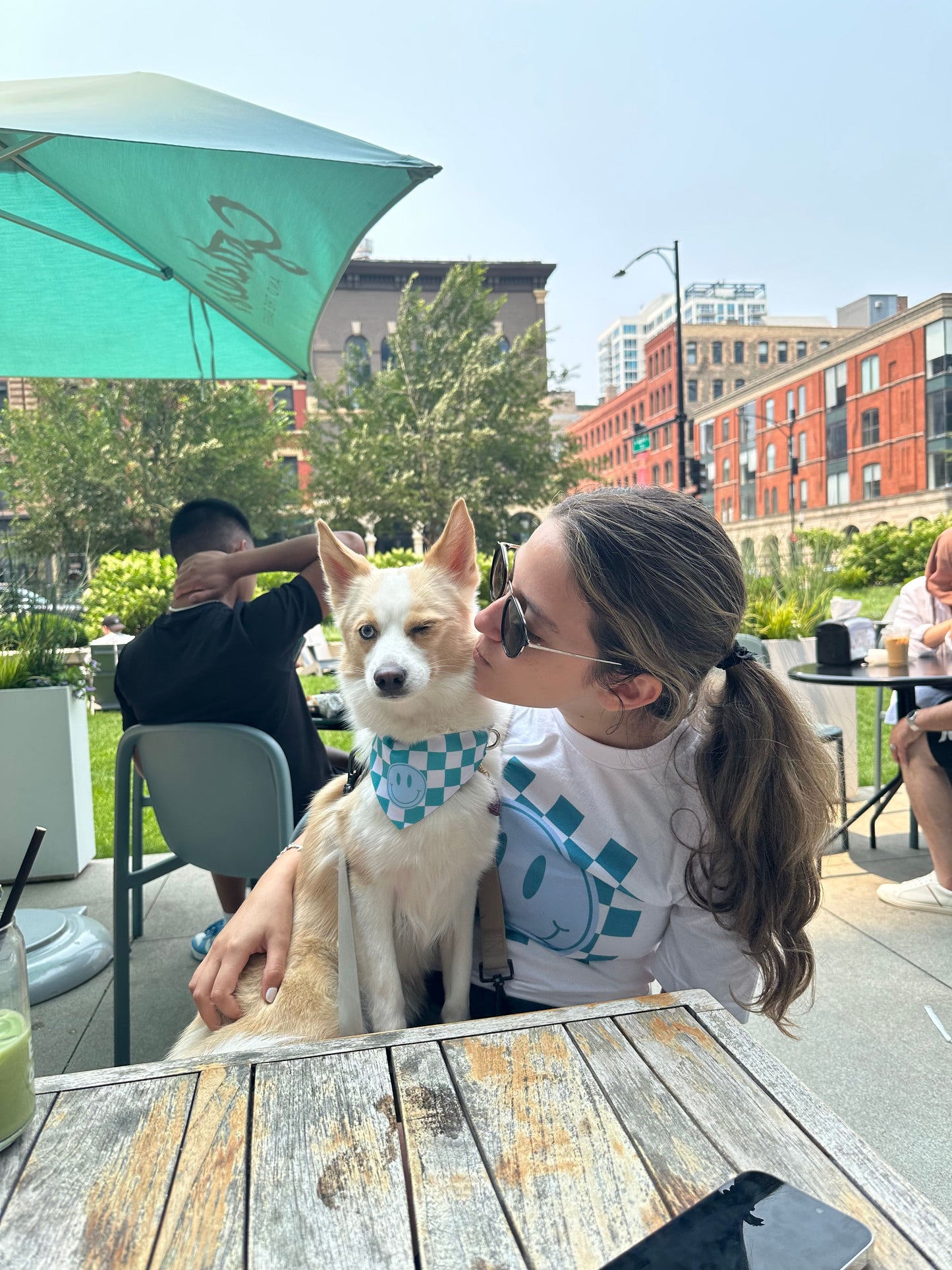 Blue Smile Pet Collar Bandana