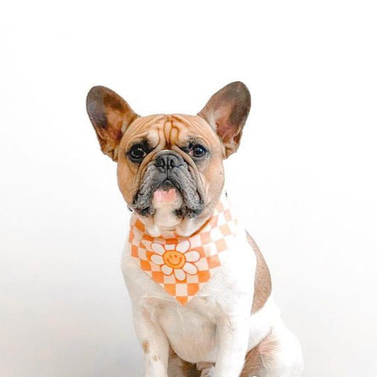 Checkered Smile Pet Collar Bandana