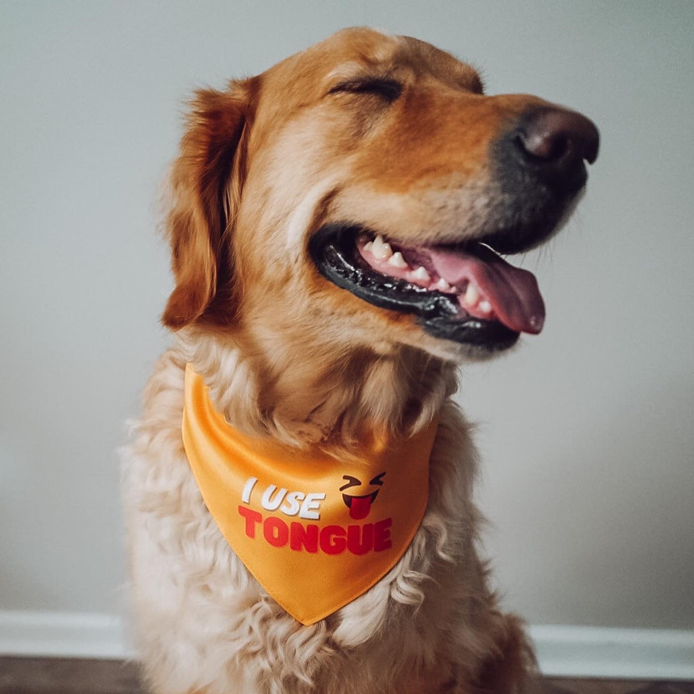 I Use Tongue Pet Collar Bandana