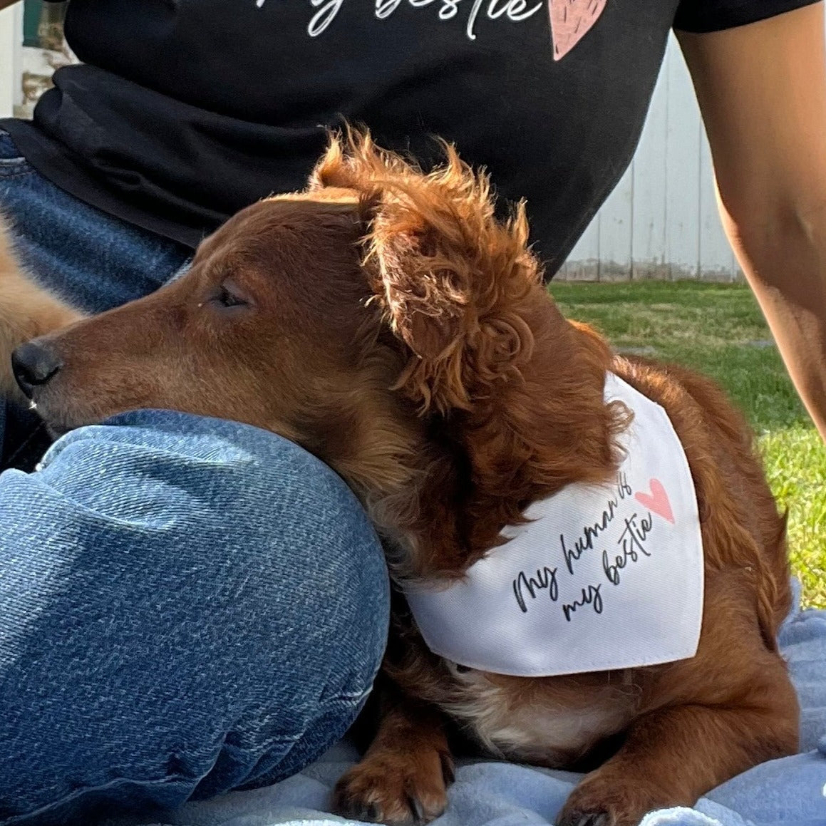 My Human is My Bestie Pet Collar Bandana
